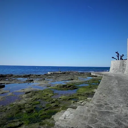 Gostinjska kuća Torci 18 Novigrad (Istria)