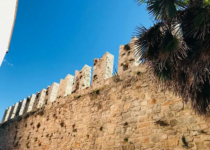 Torci 18 בית הארחה