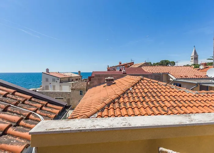 Torci 18 بيت ضيافة Novigrad Istria