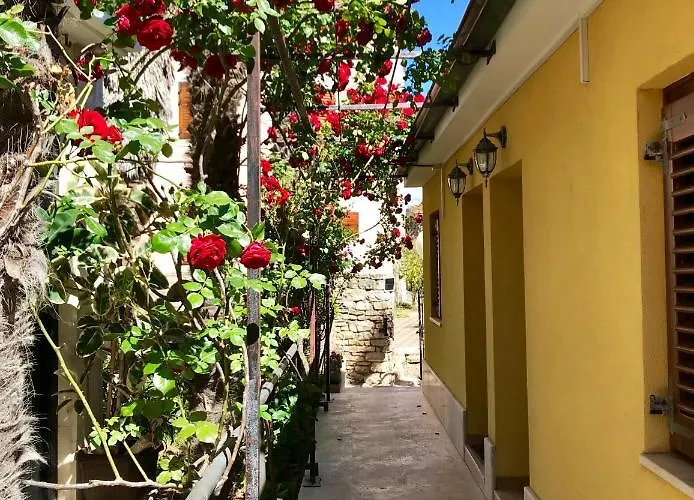 Torci 18 3* Novigrad Istria