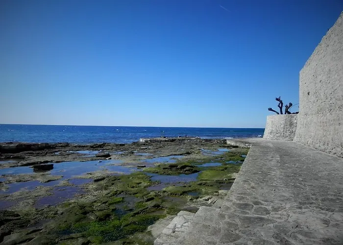 Πανσιόν Torci 18 Novigrad Istria